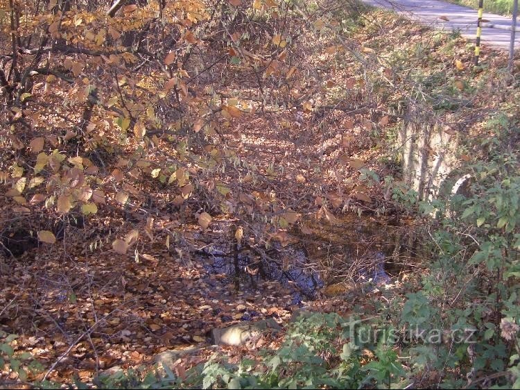 der Zusammenfluss von Řehančák und Dolina vor Olešná