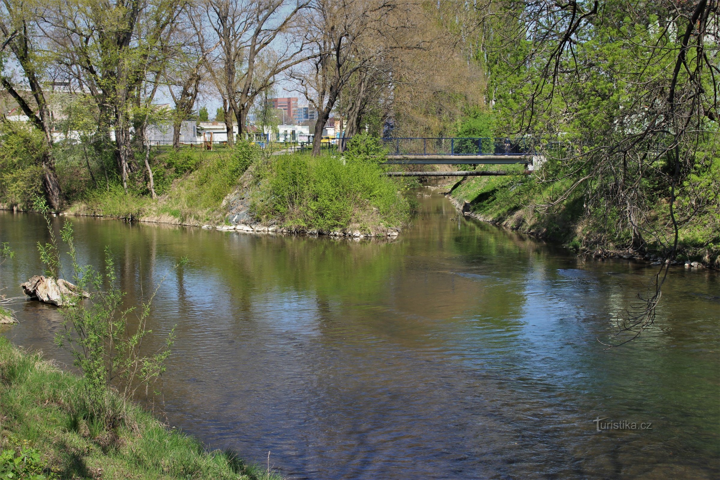 The confluence of the river Svratka with the river Ponávka