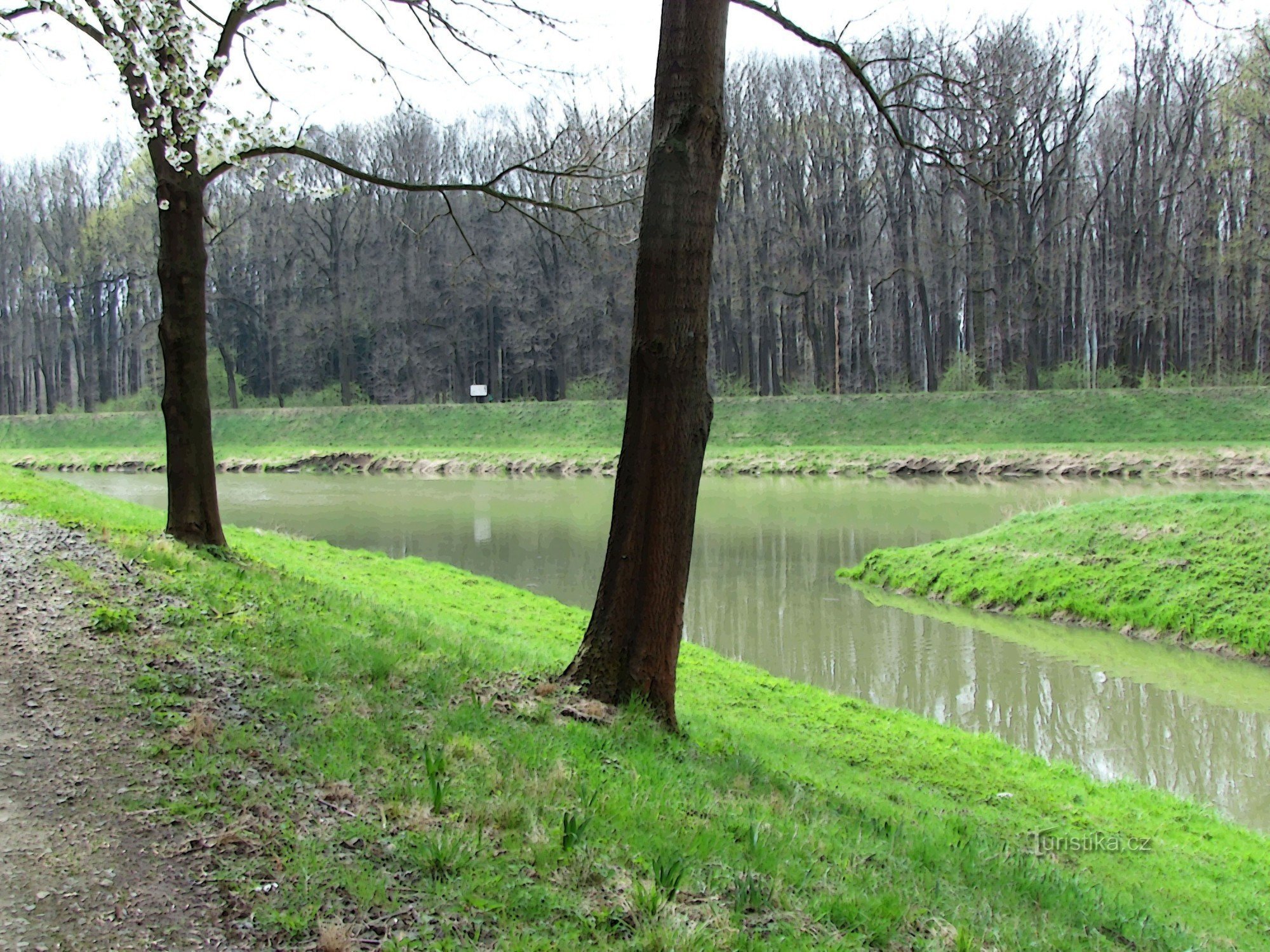 De samenvloeiing van de rivieren Rusava en Morava
