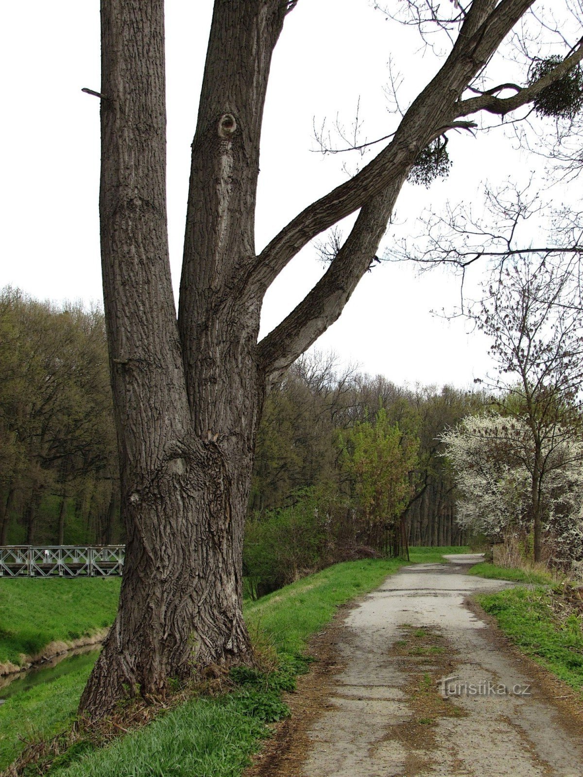 De samenvloeiing van de rivieren Rusava en Morava