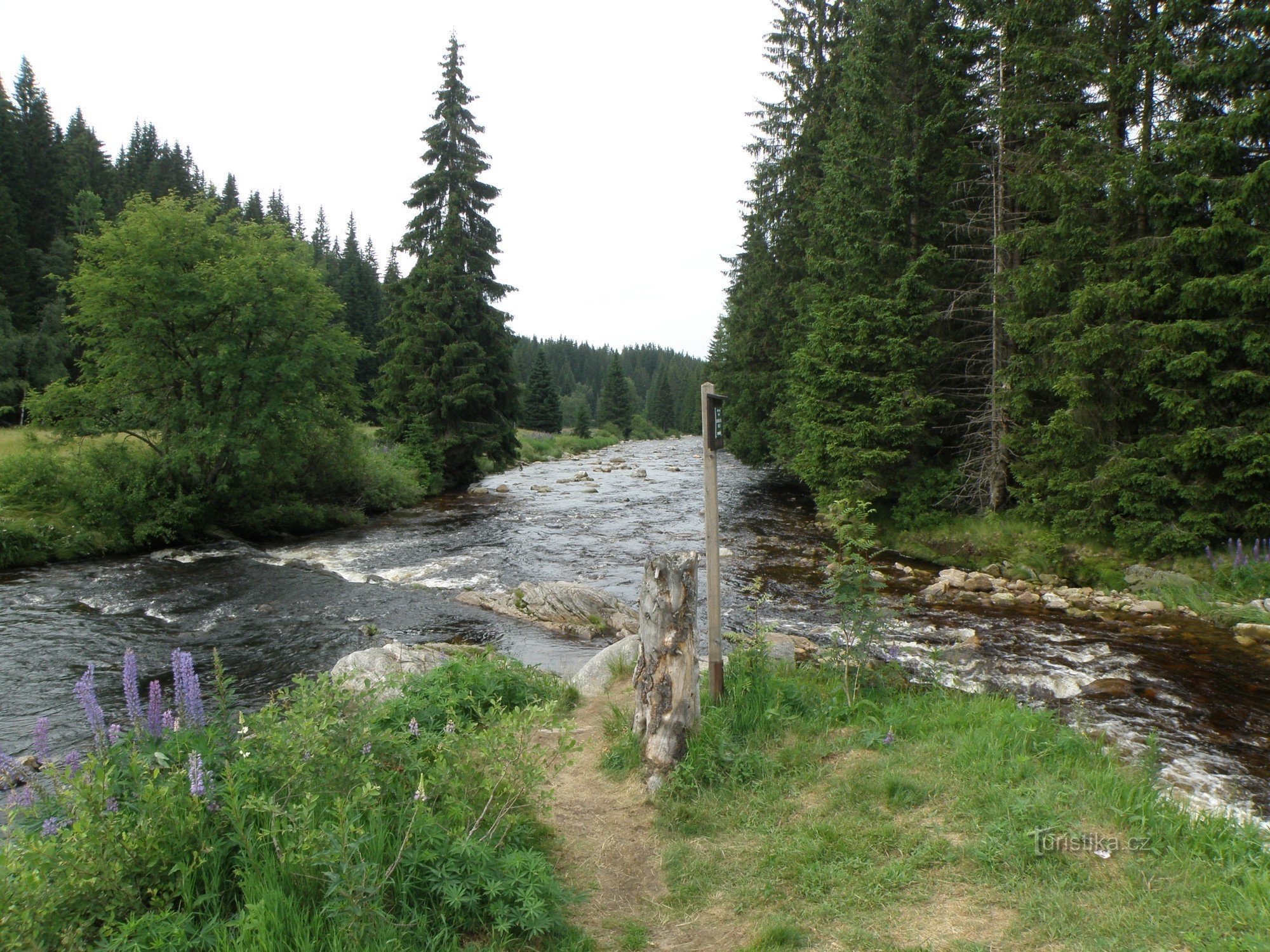 La confluence des ruisseaux Roklanské et Modravské