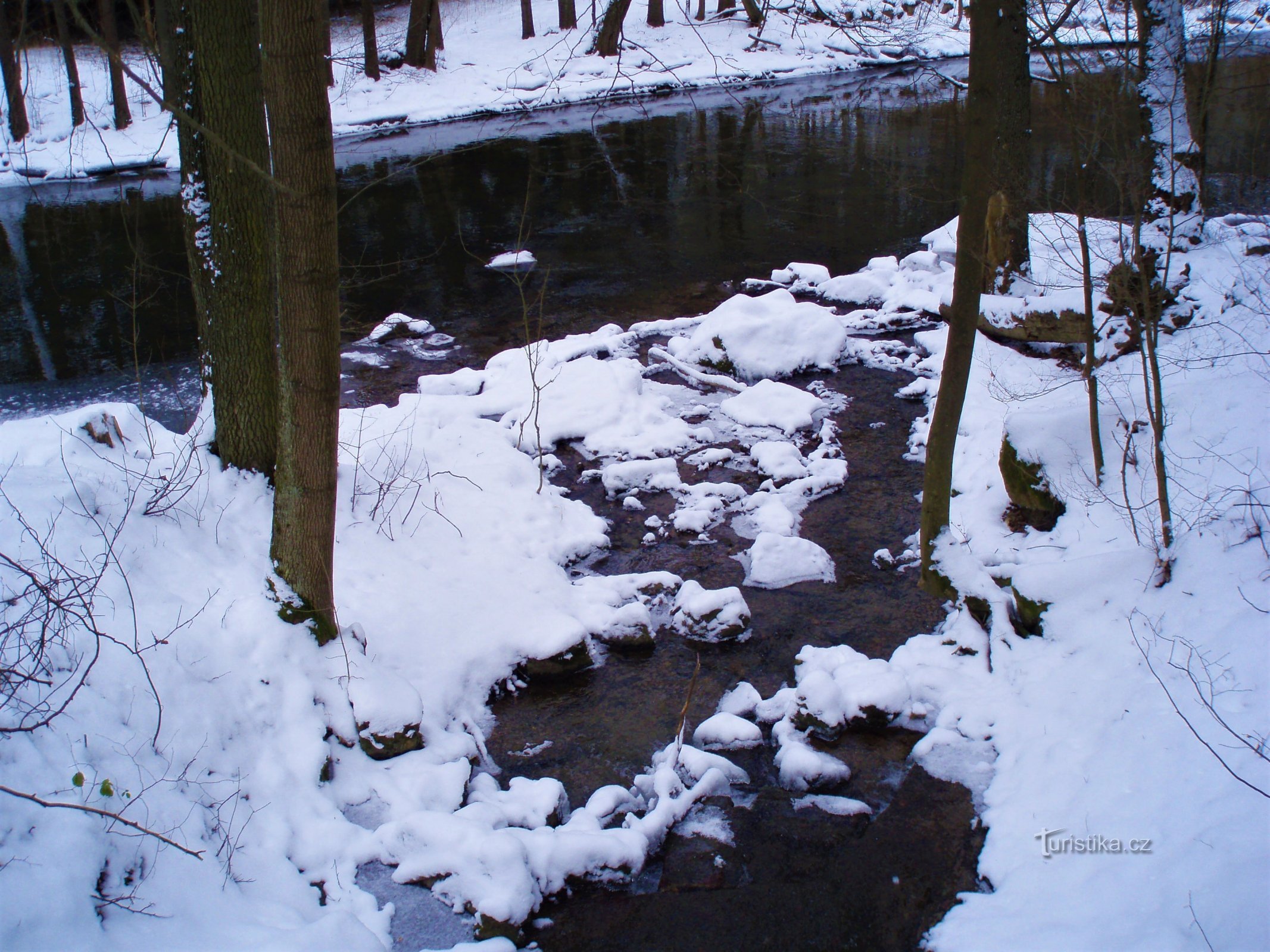 Ušće potoka Slatine u Úpu pod Výmolem (Slatina nad Úpou, 18.2.2009.)