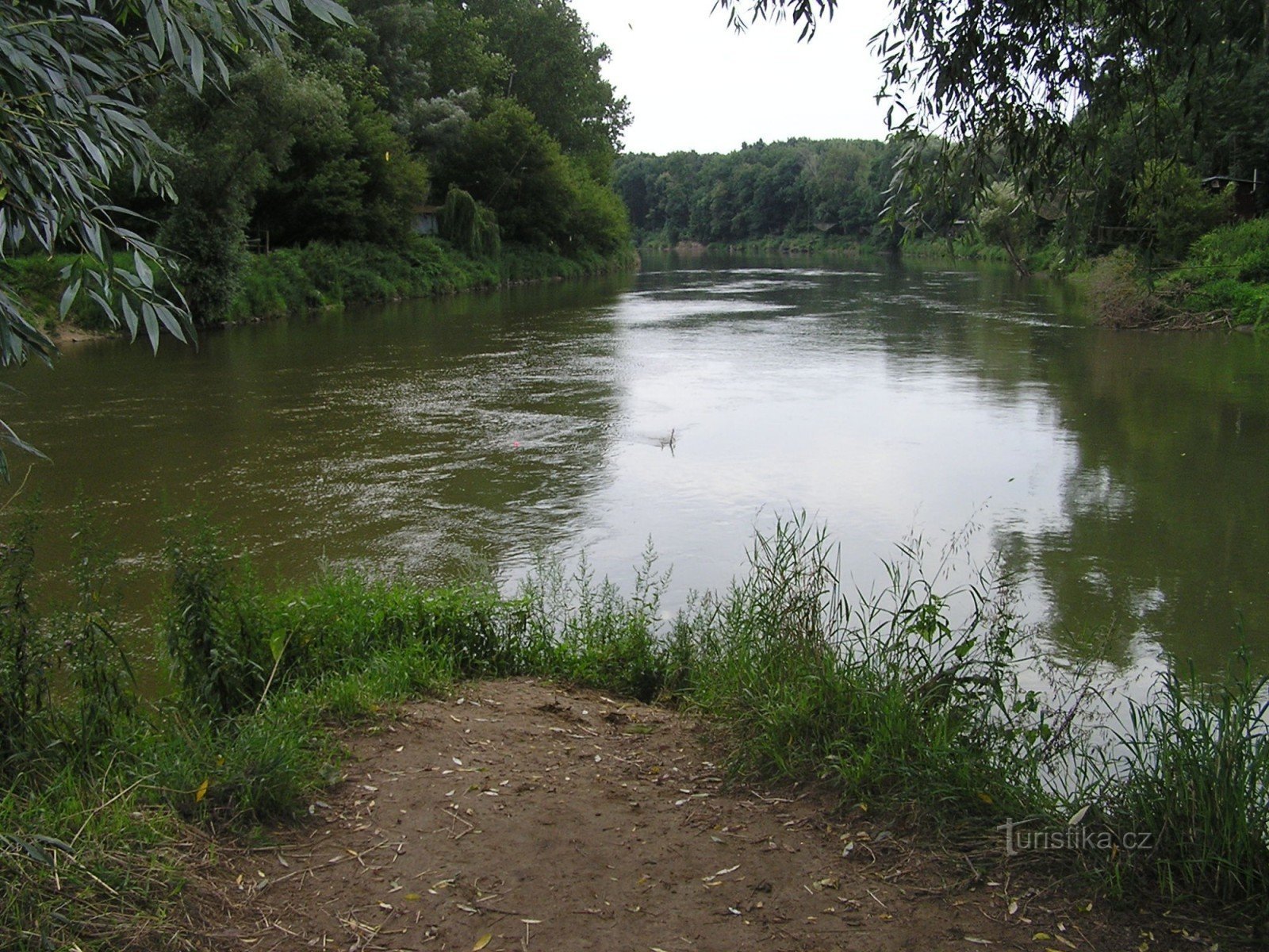 Confluence - the confluence of the Morava and the Dyje