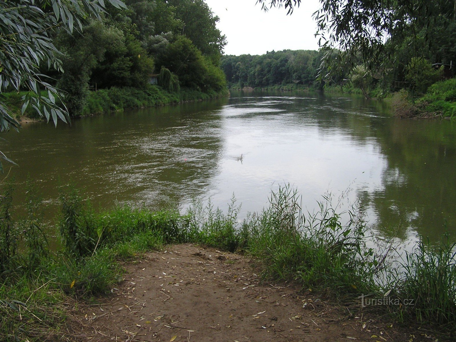 Confluence - zbieg Morawy i Dyje