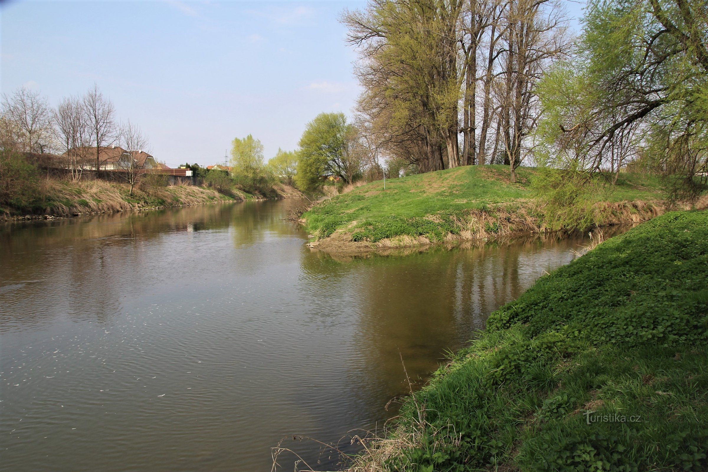 Confluența Svratka și Litava (Svratka în stânga, Litava în dreapta)