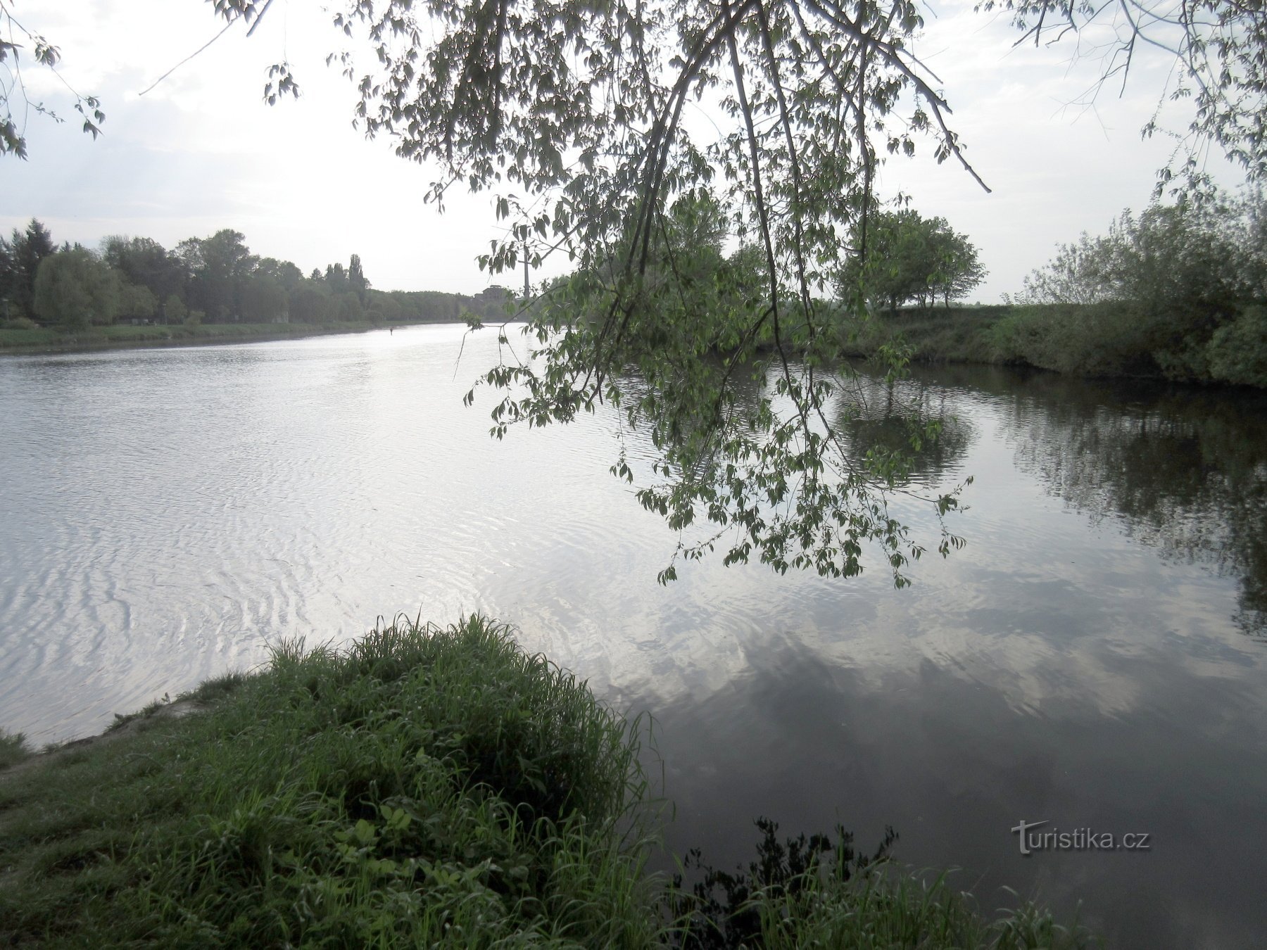 Confluence - Elbe on the left, Jizera on the right