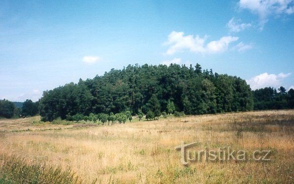 Colline des moineaux