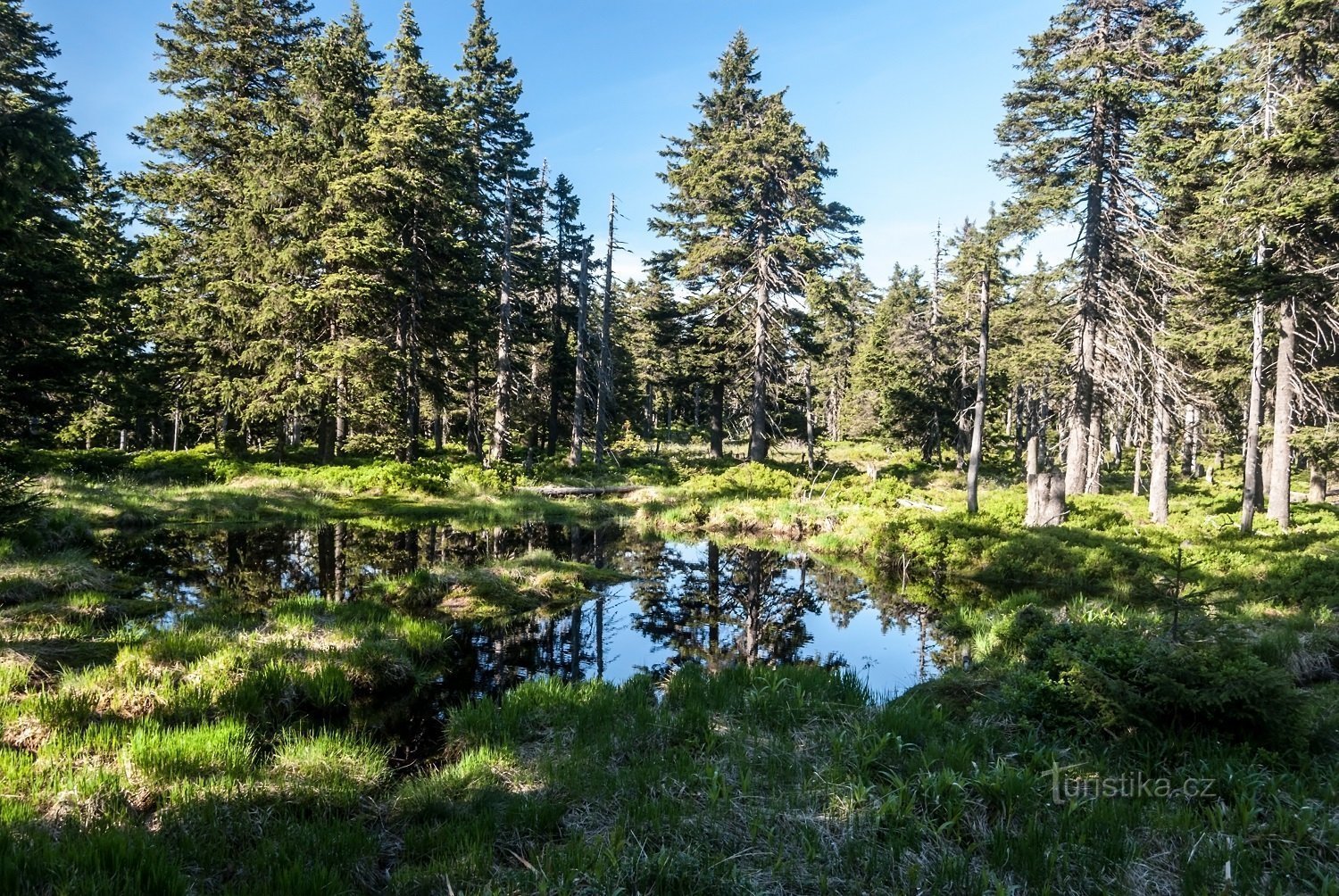 Spálený vrch, Kuvan lähde: Pivovar Holba, Shutterstock