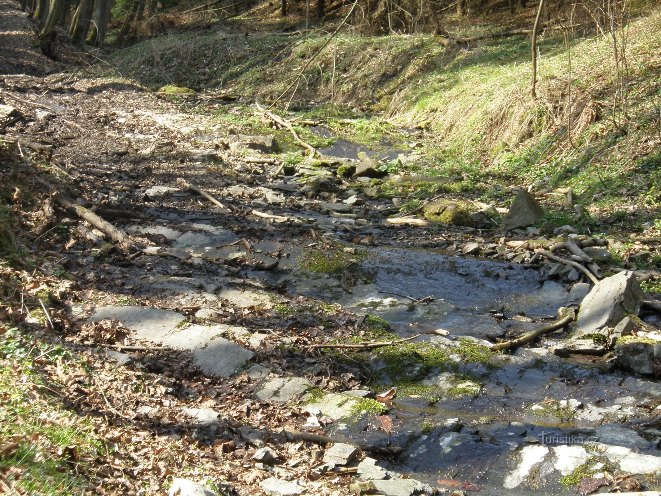 Spálov, stroom Brálný