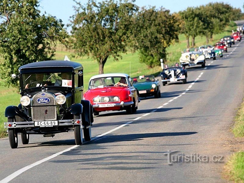 Lustige Fahrt mit historischen Fahrzeugen im Mushroom Park