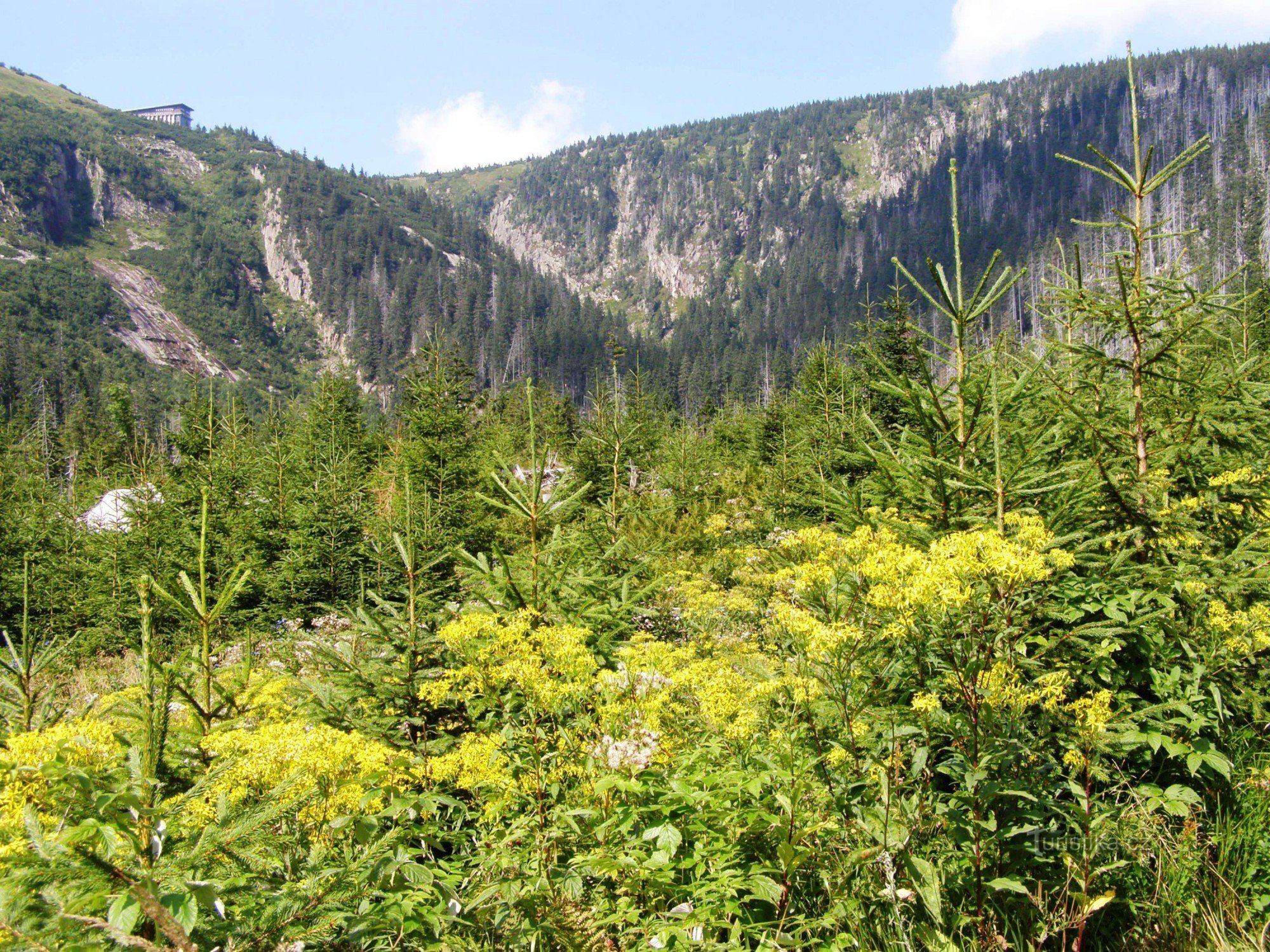 Špindlerův Mlýn - Harracher Steine ​​- Elbquelle - Špindl