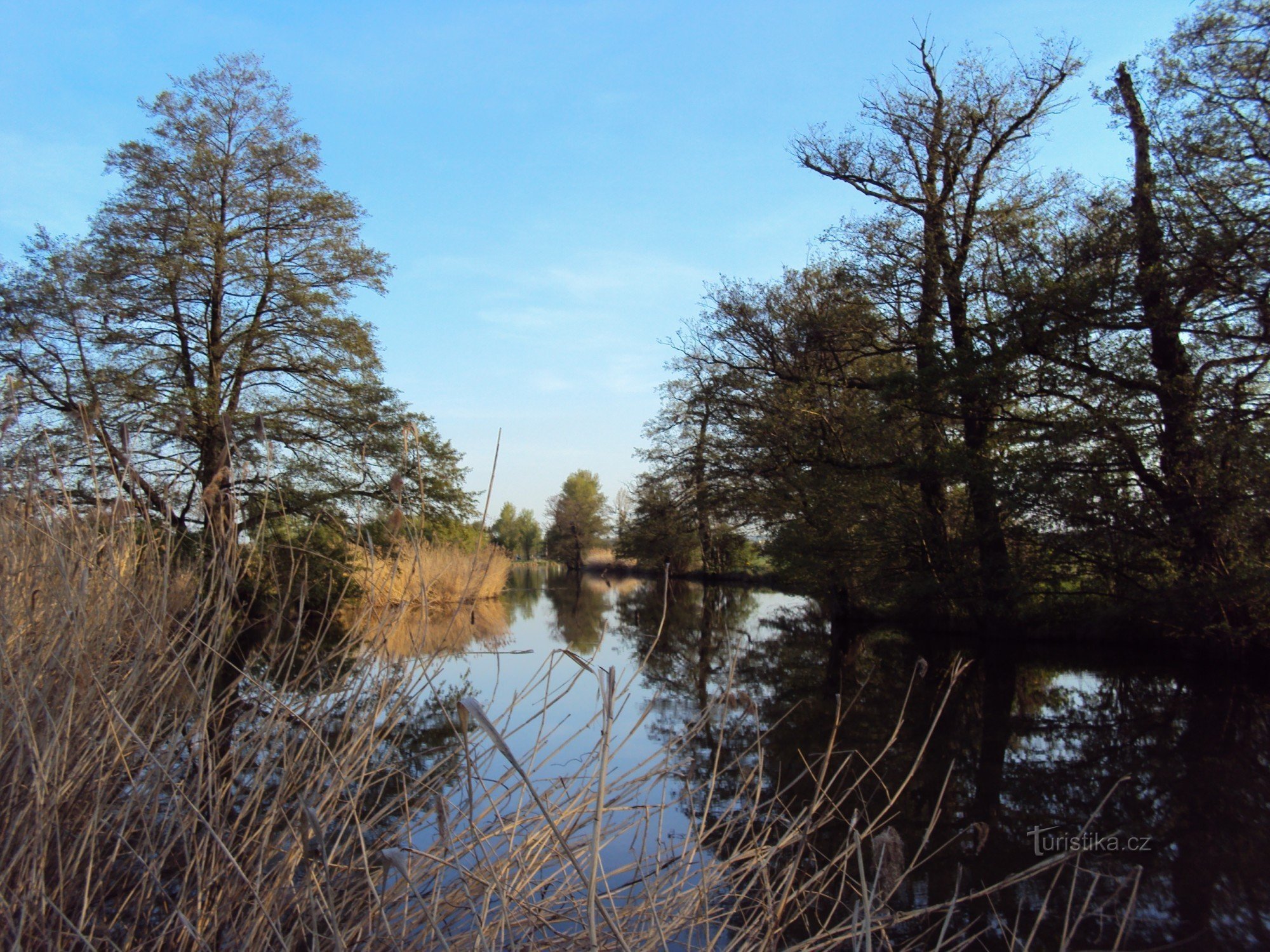 Splavisko, Blick von Brünn