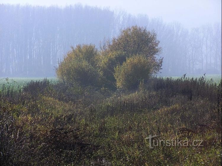 Schiffbar: Blick Richtung Krivý