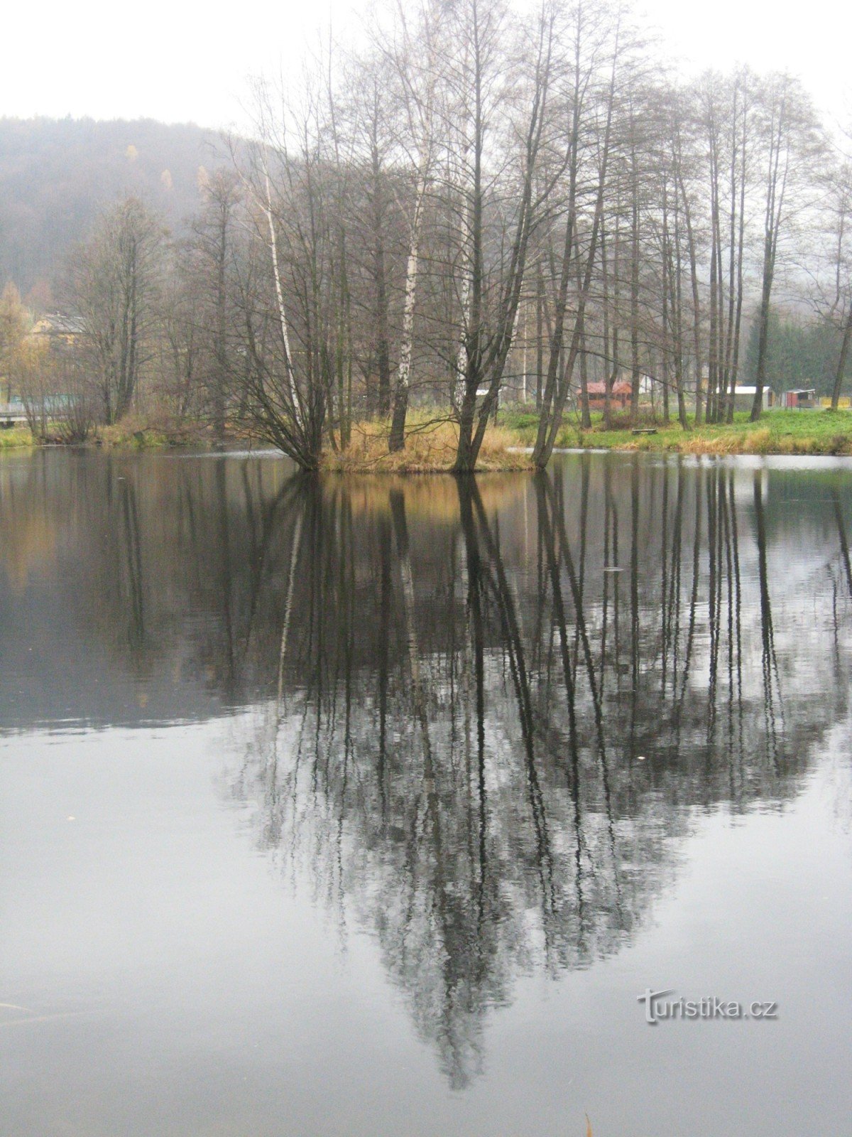 lower pond