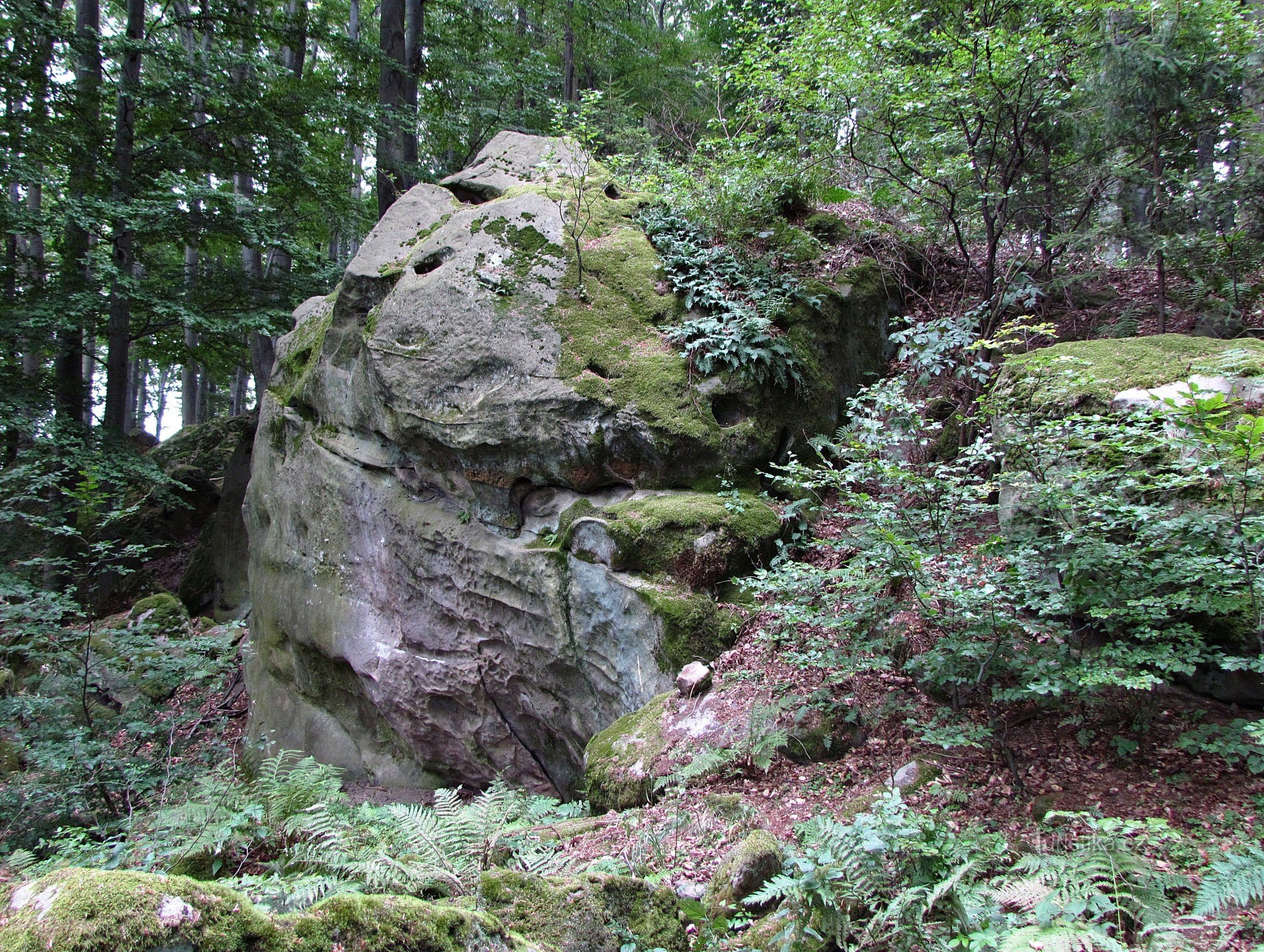 下の岩稜