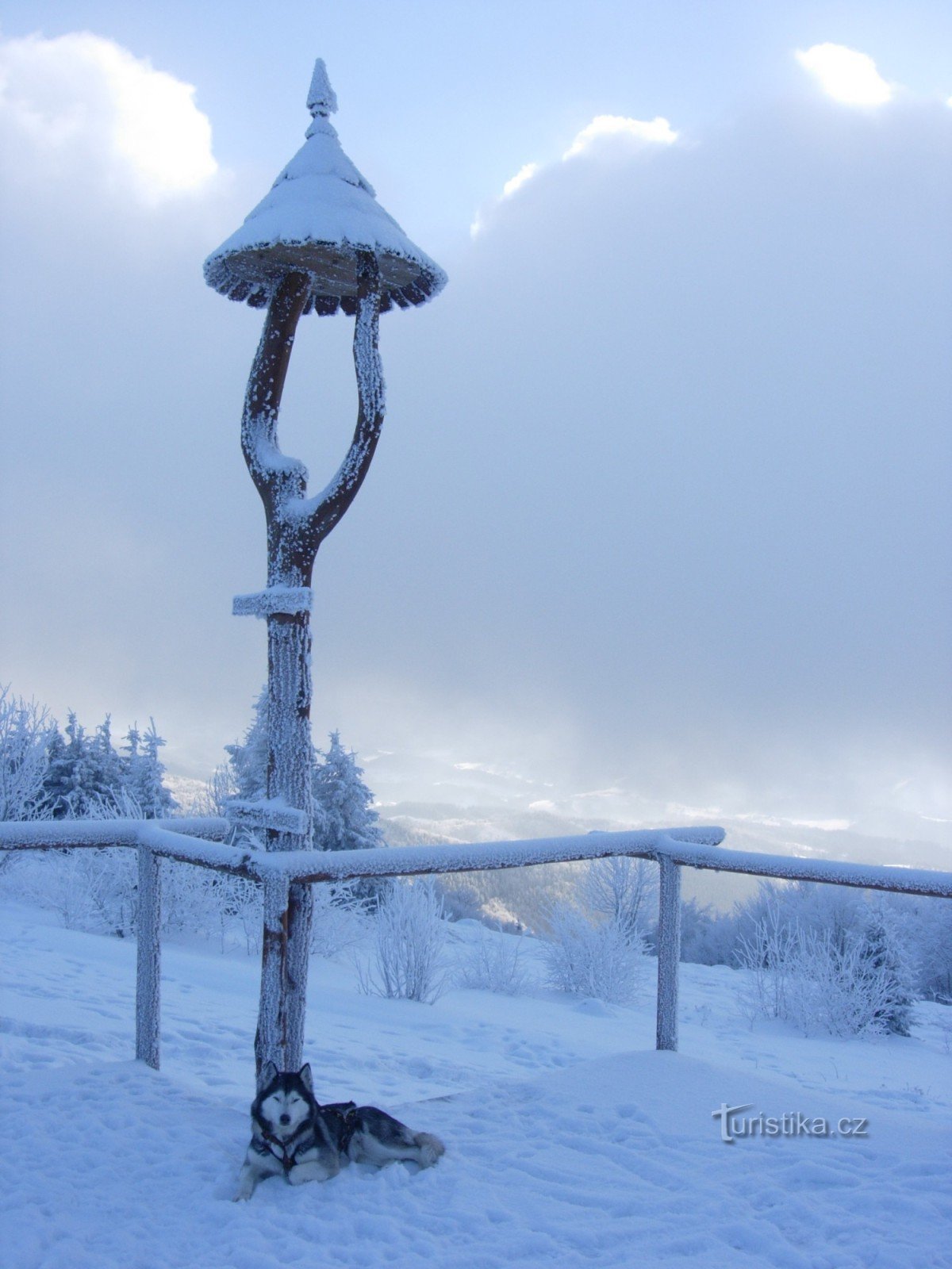 La bonne conduite pour l'hiver