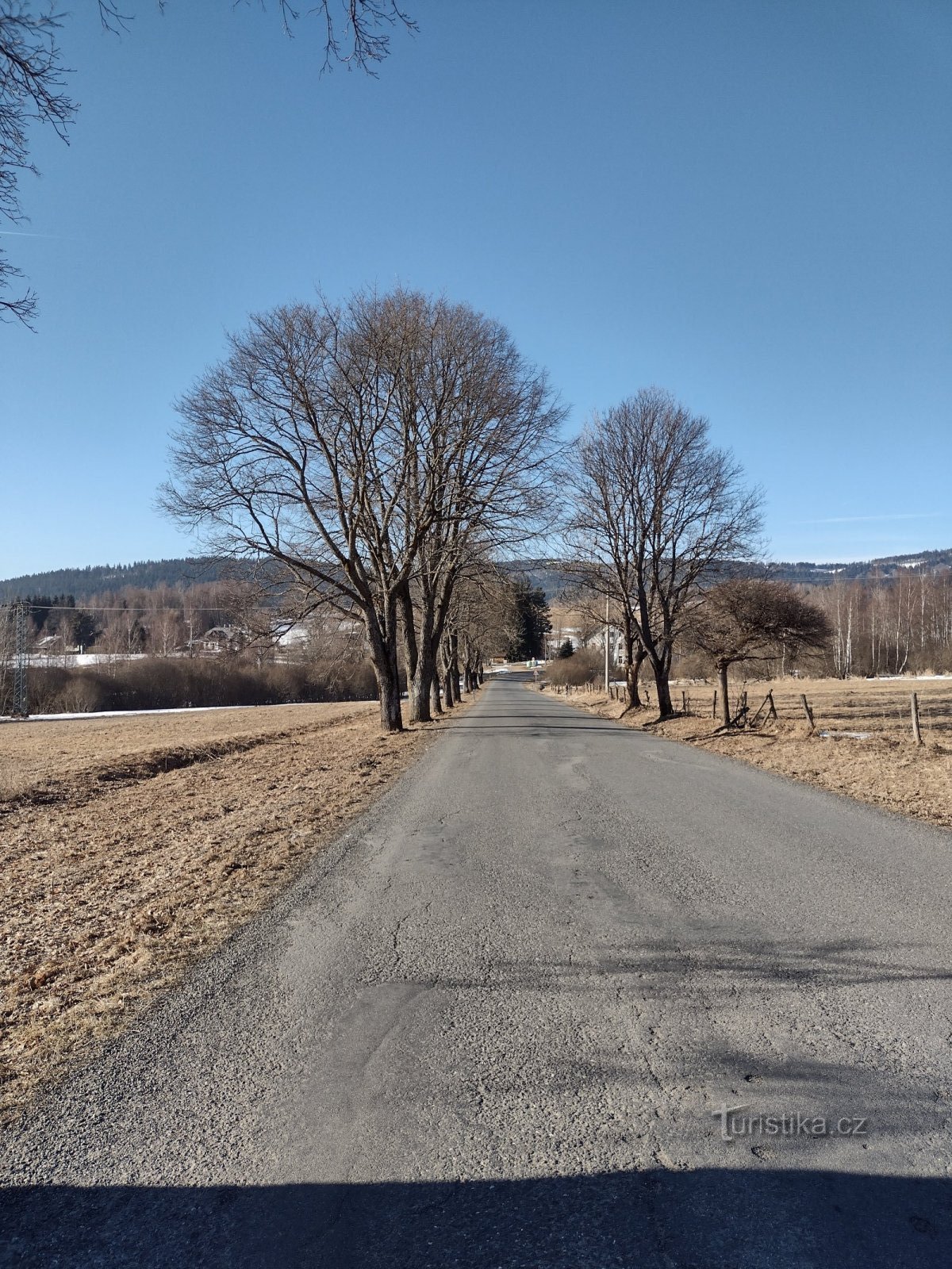 Srní - Mechov - Klostermannin näkökulma - Srní