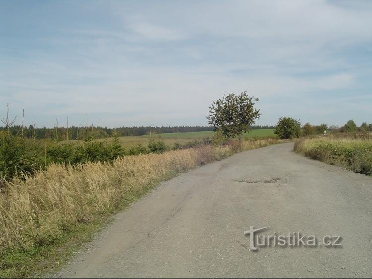 Srnov: Cesta do Luboměře pod Strážnou