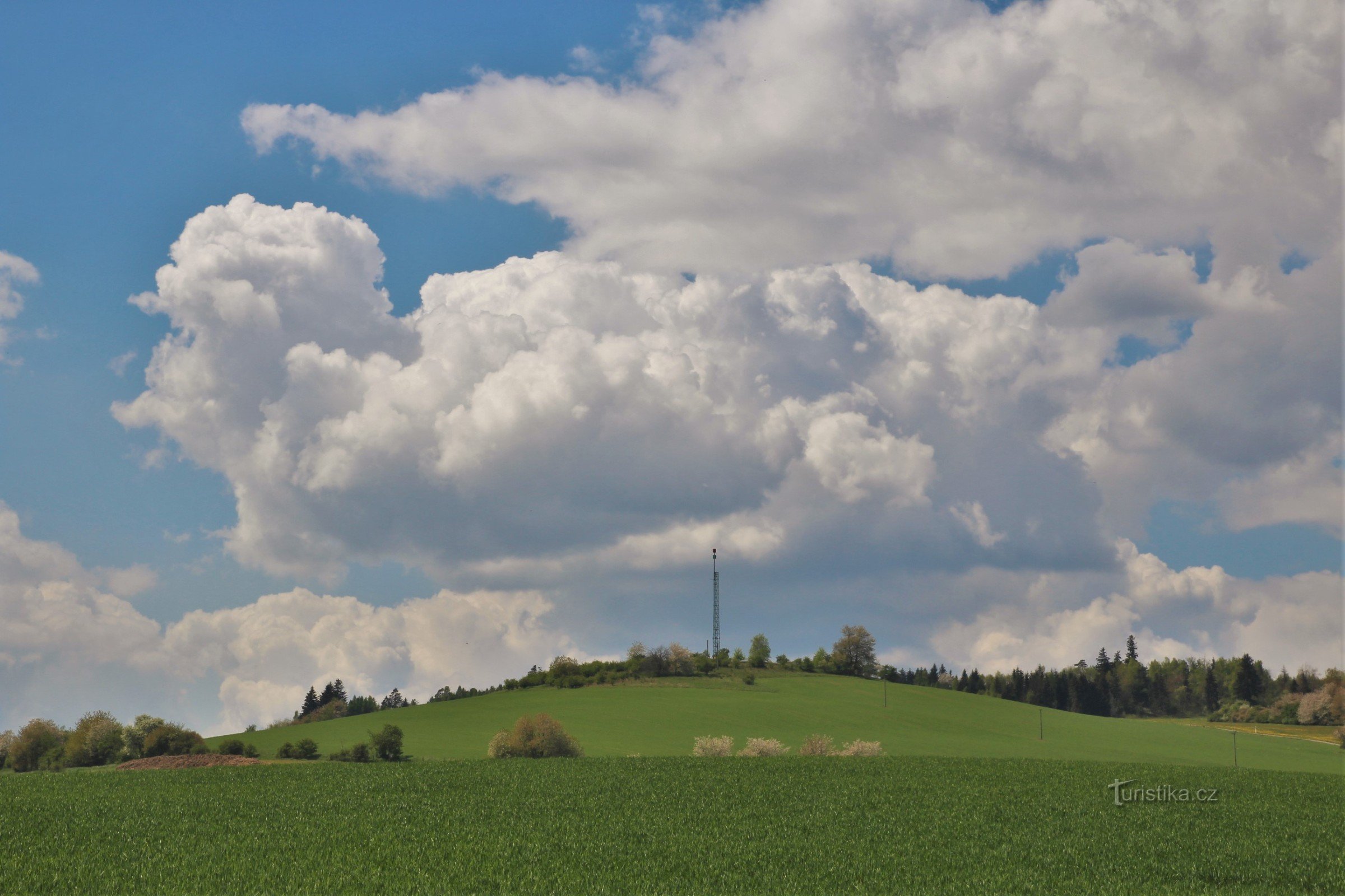 Srstková-kukkula Křenovista