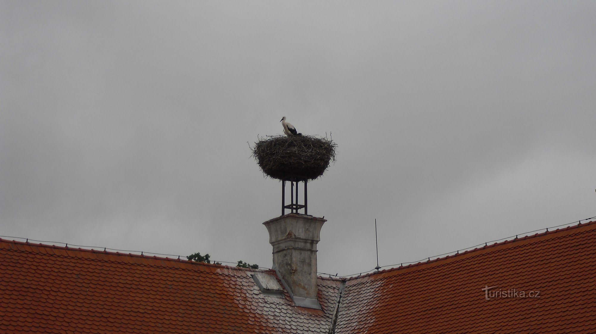 Residentes permanentes do castelo