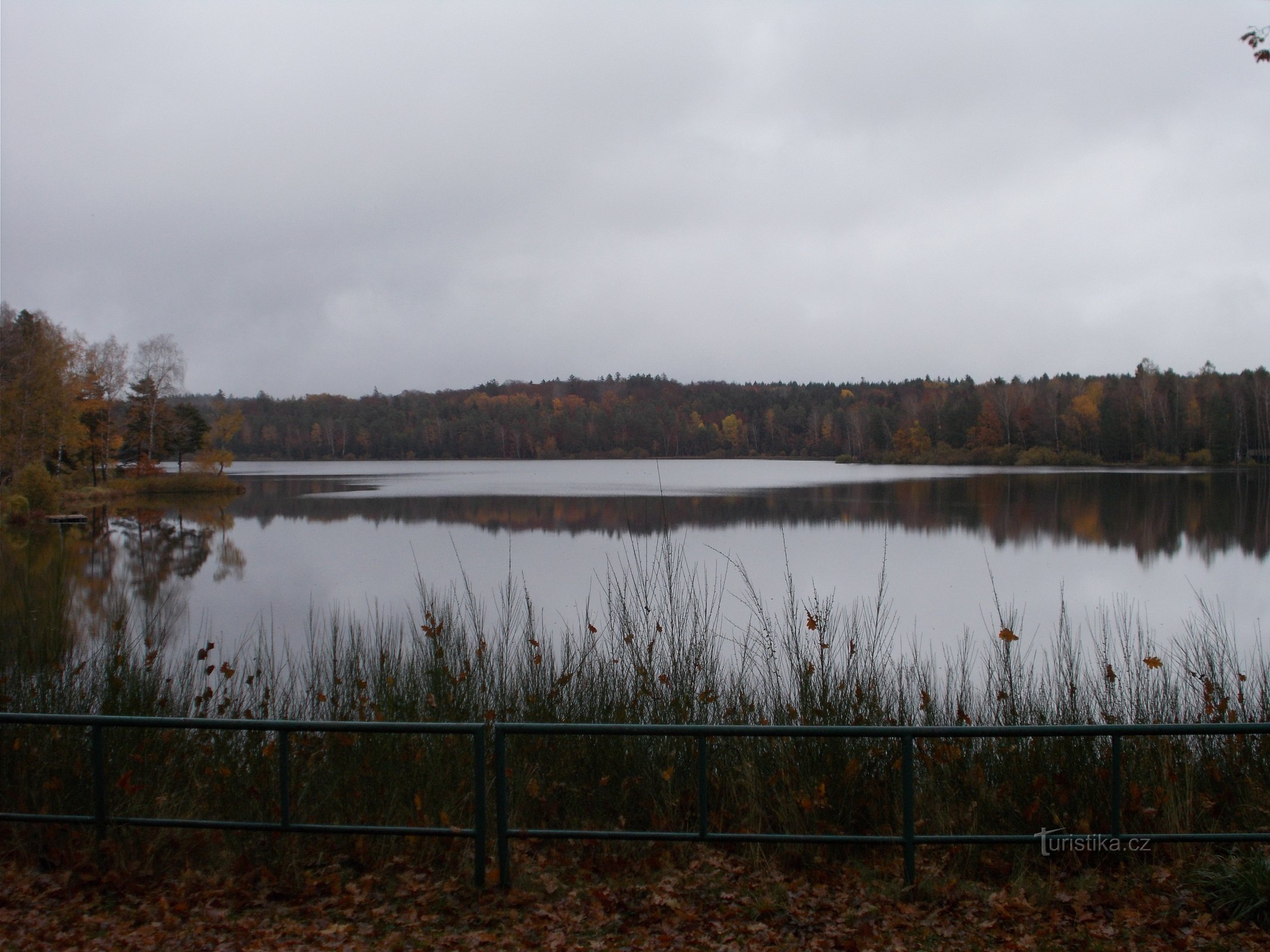 Staňkovský pond