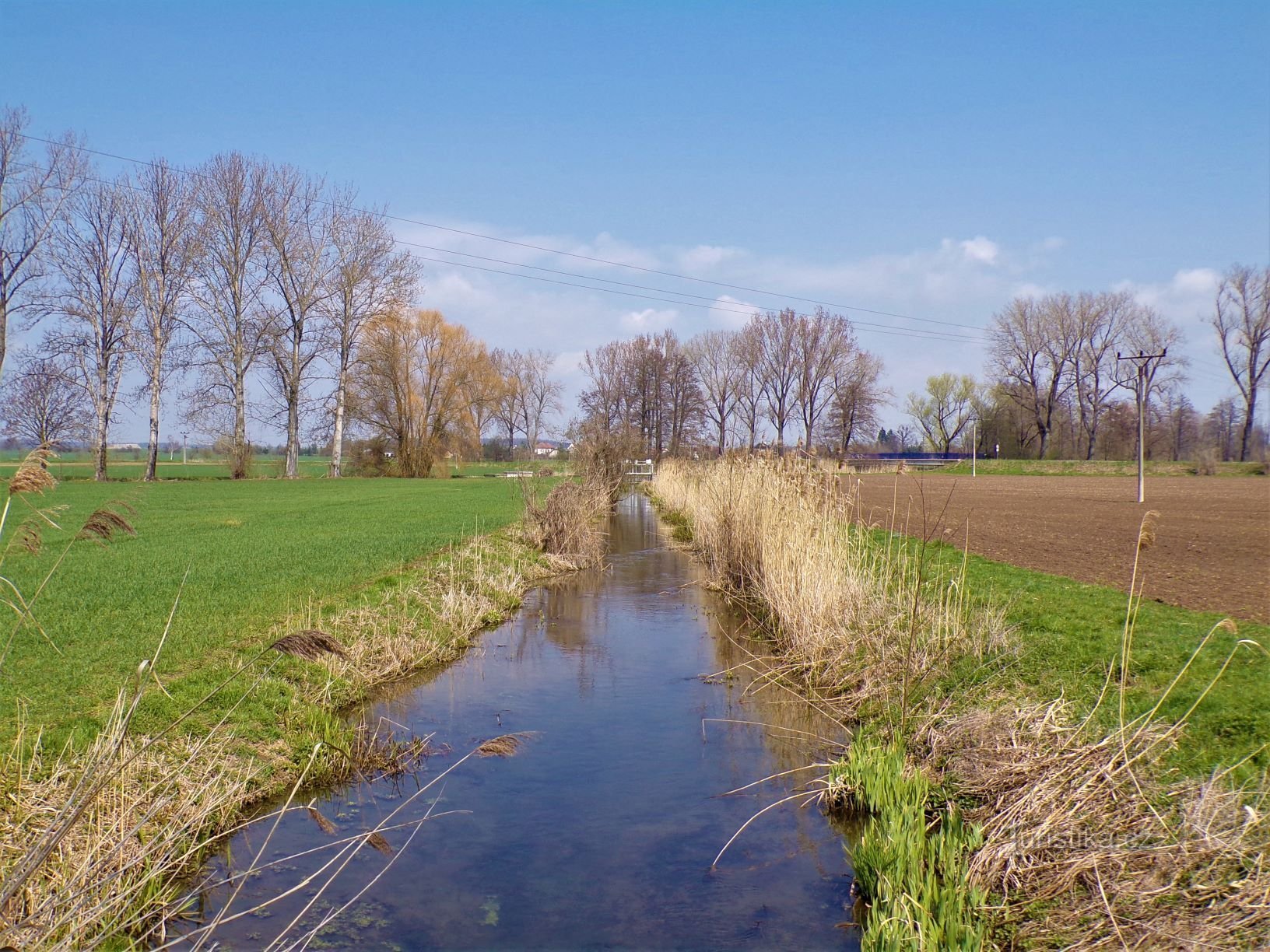 Stará Bystřice bei der Mühle (Roudnice, 21.4.2021)