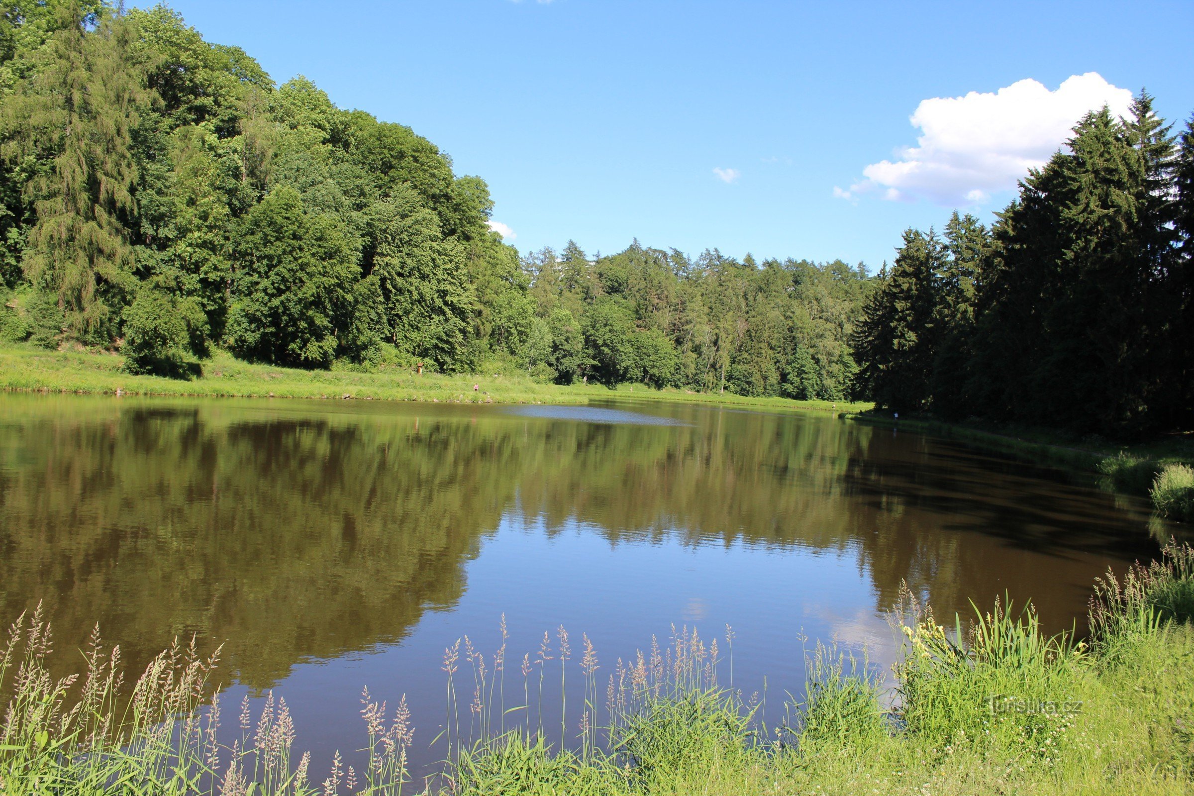 Gammel swimmingpool