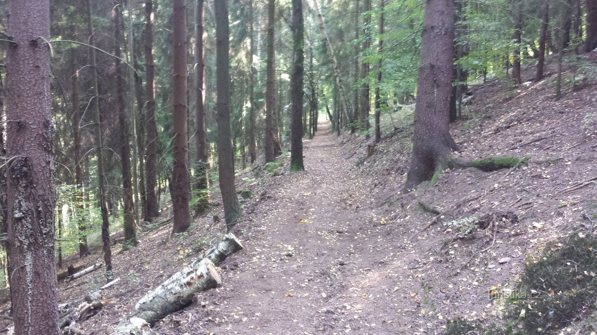 A antiga trilha de caminhada Jáchymov - Ostrov - Mlýnské údolí