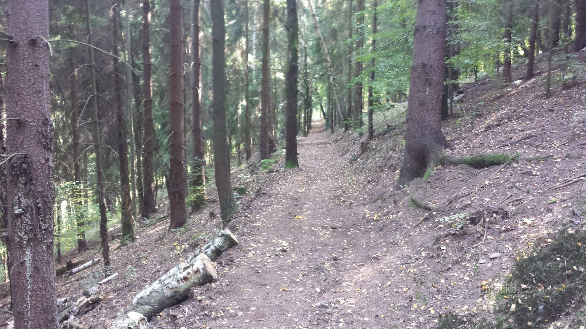 Stara pohodniška pot Jáchymov - Ostrov - Mlýnské údolí