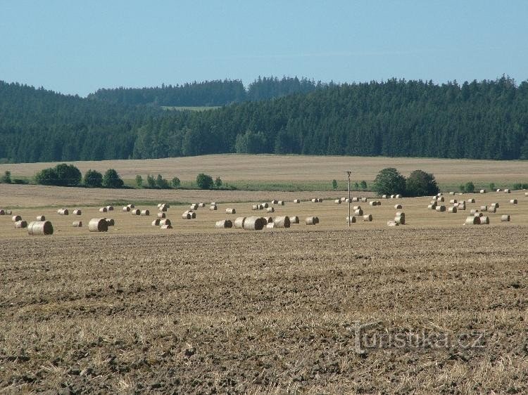 Vieux Heřminovy