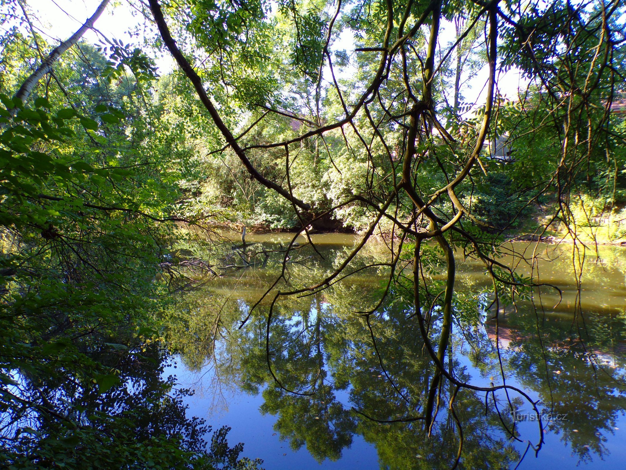 Old Elbe (Tyskland, 17.8.2022)