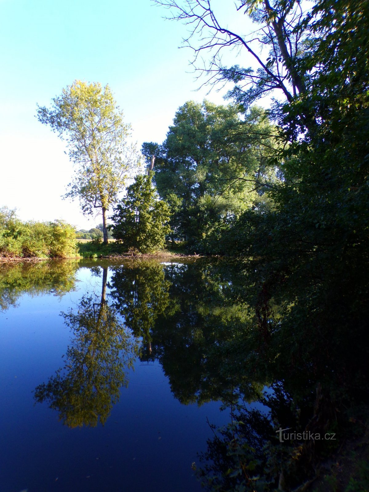 Old Elbe (Germany, 17.8.2022)