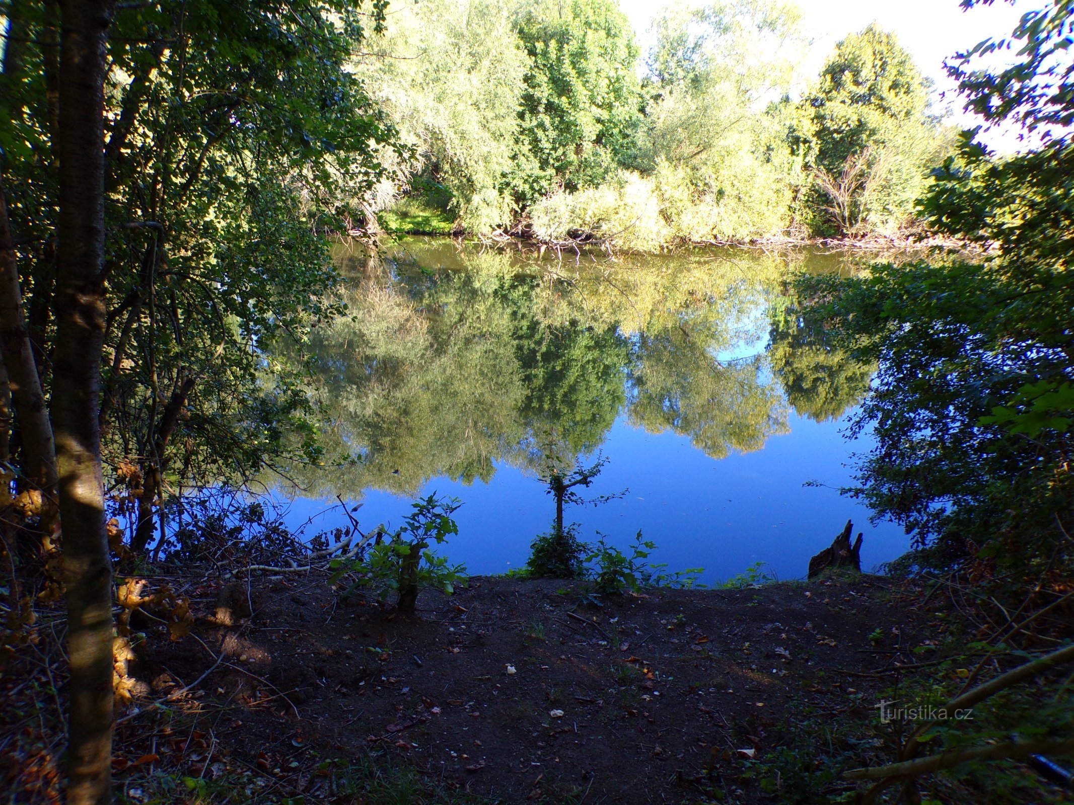 Old Elbe (Germany, 17.8.2022)