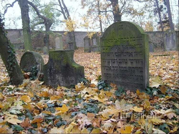 Old Headstones: Ten of the Oldest Headstones, with Weathered, Illegible