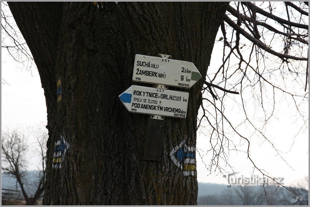 Alte Richtungen zeigen das blaue Schild, die gelbe Richtung Dolní Dvůr, Rokytenka, Žamberk