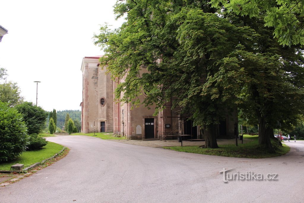 Old trees in front of the church