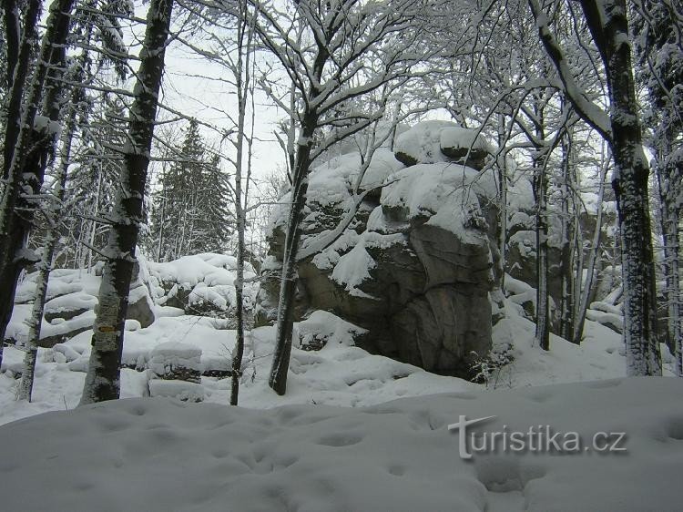 Старков