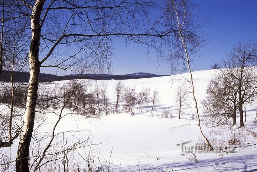 Início da estrada Jesenice - Písařov - Malá Morava