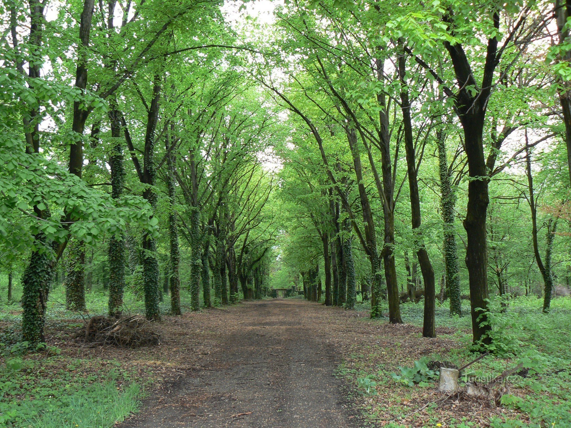 Alter Bohnický-Friedhof