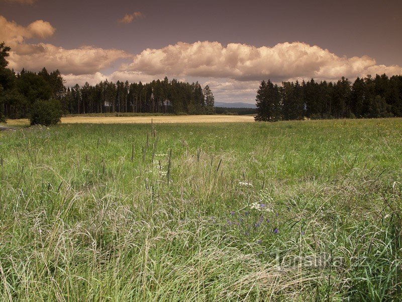 Starý Maletín - szélerőmű