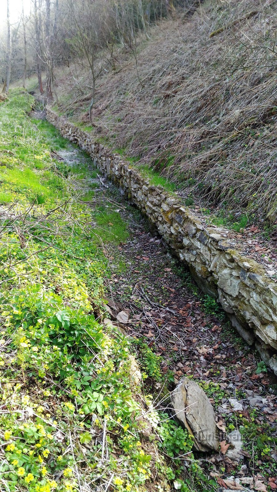 entraînement de l'ancien moulin