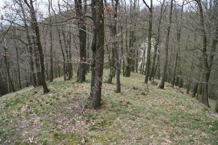 Starý zámek u Neumětel