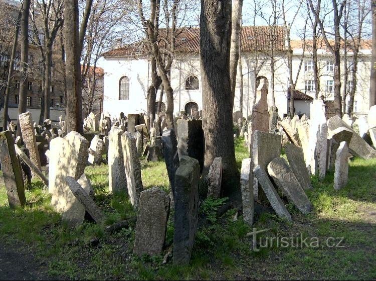 Vieux cimetière juif