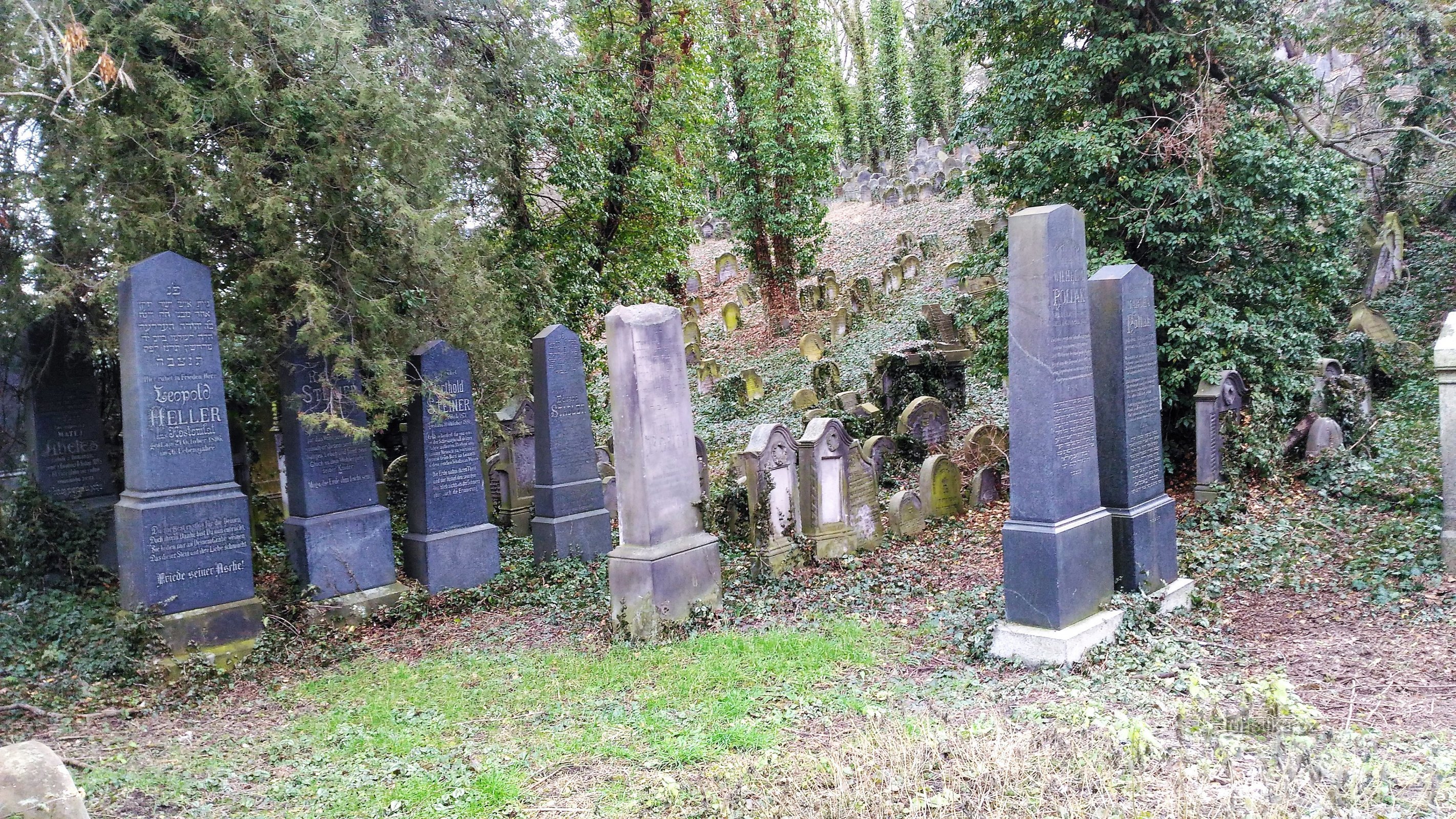 Old Jewish Cemetery