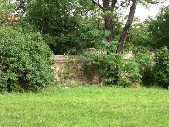 starý židovský hřbitov