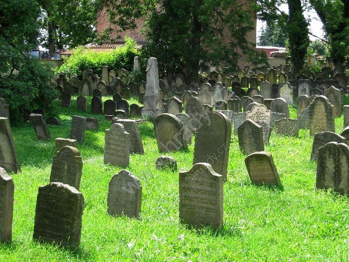 starý židovský hřbitov