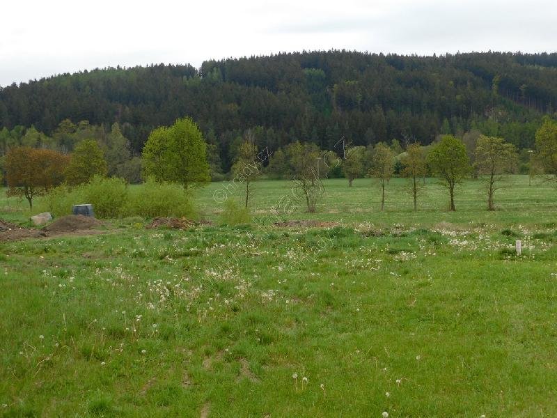 starý židovský hřbitov