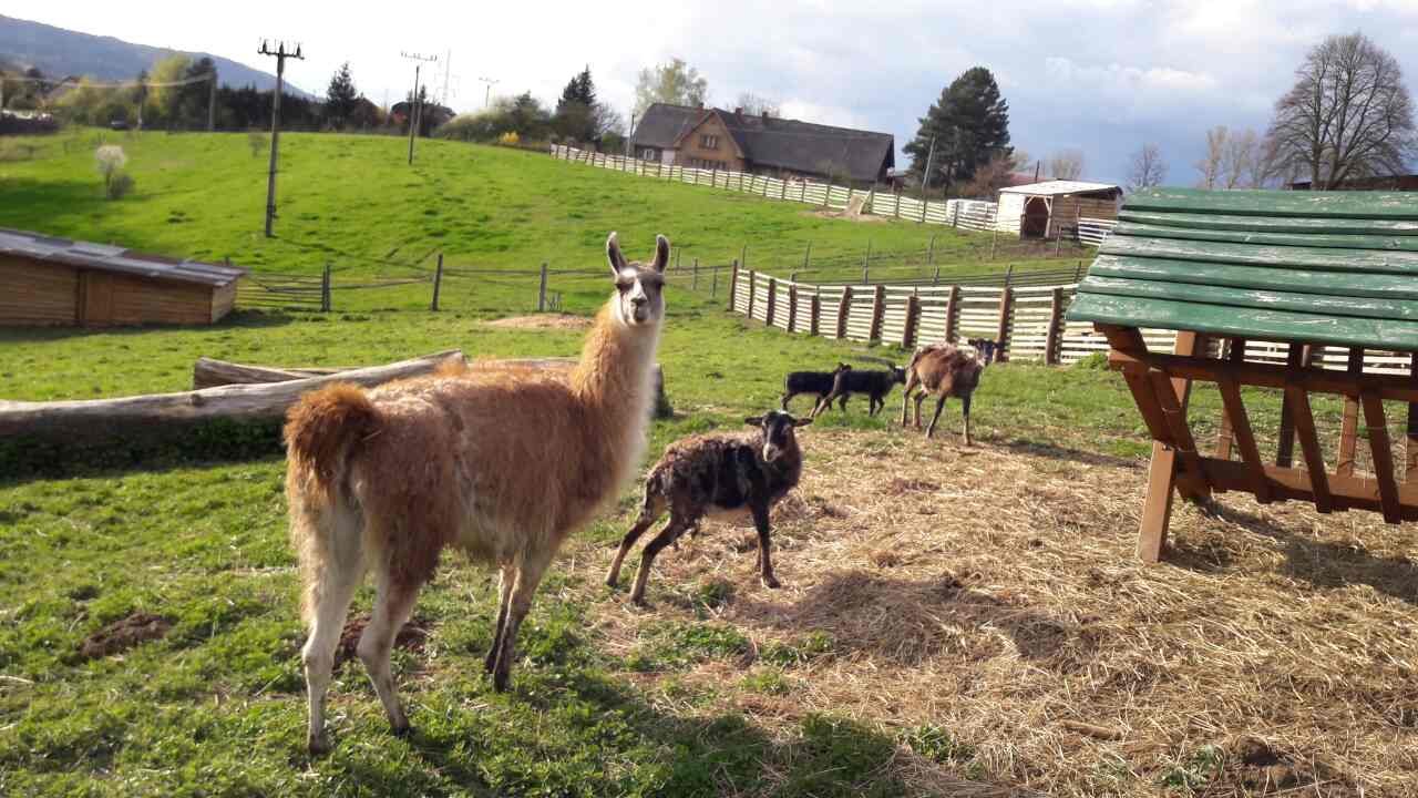 Happy Land - en naturlig nöjespark