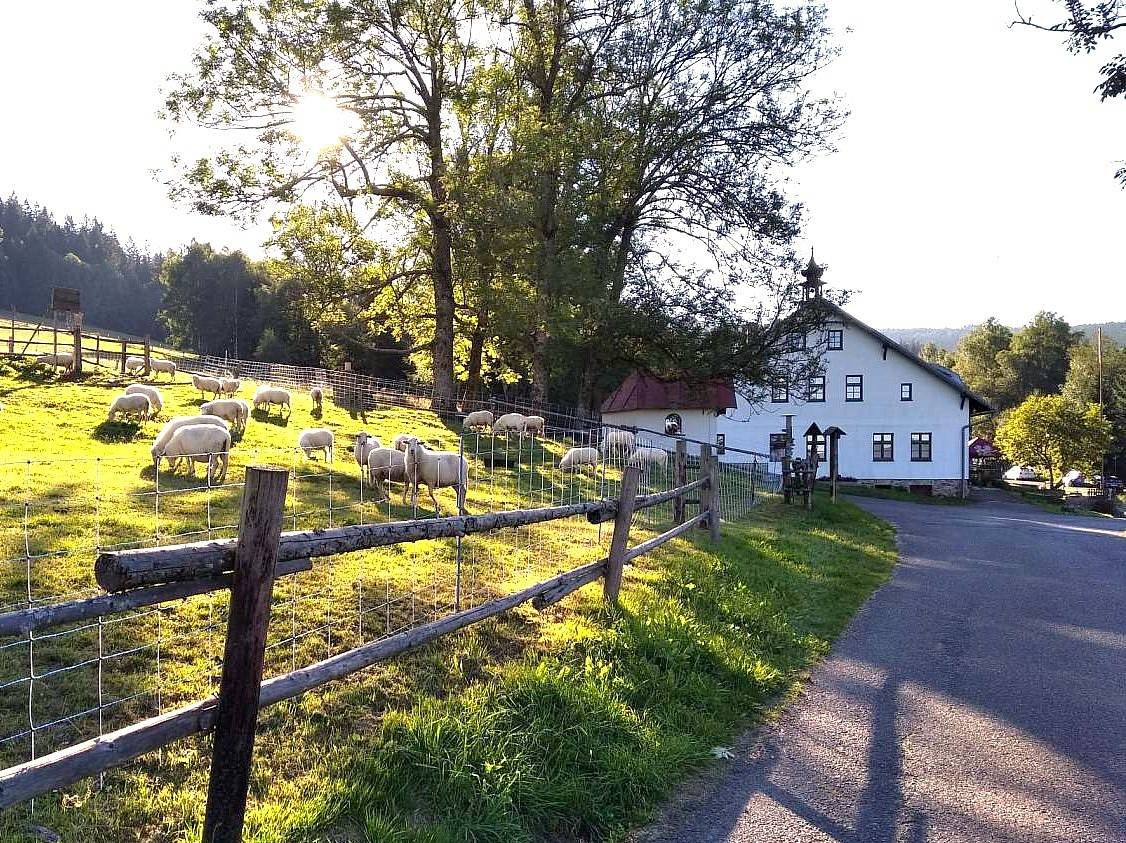 Pensjonat Brčálník Železná Ruda - Hojsova Stráž