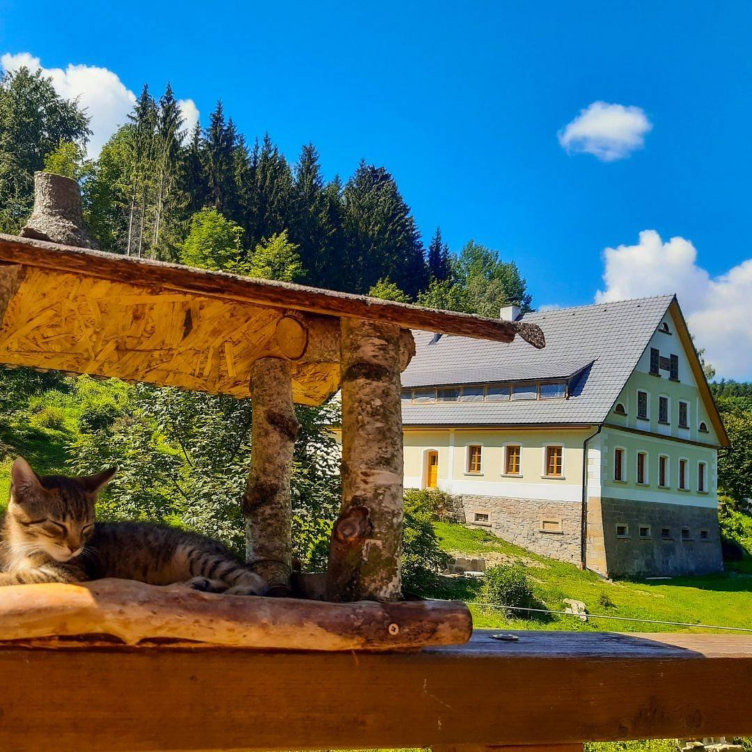 Farmhouse in the valley